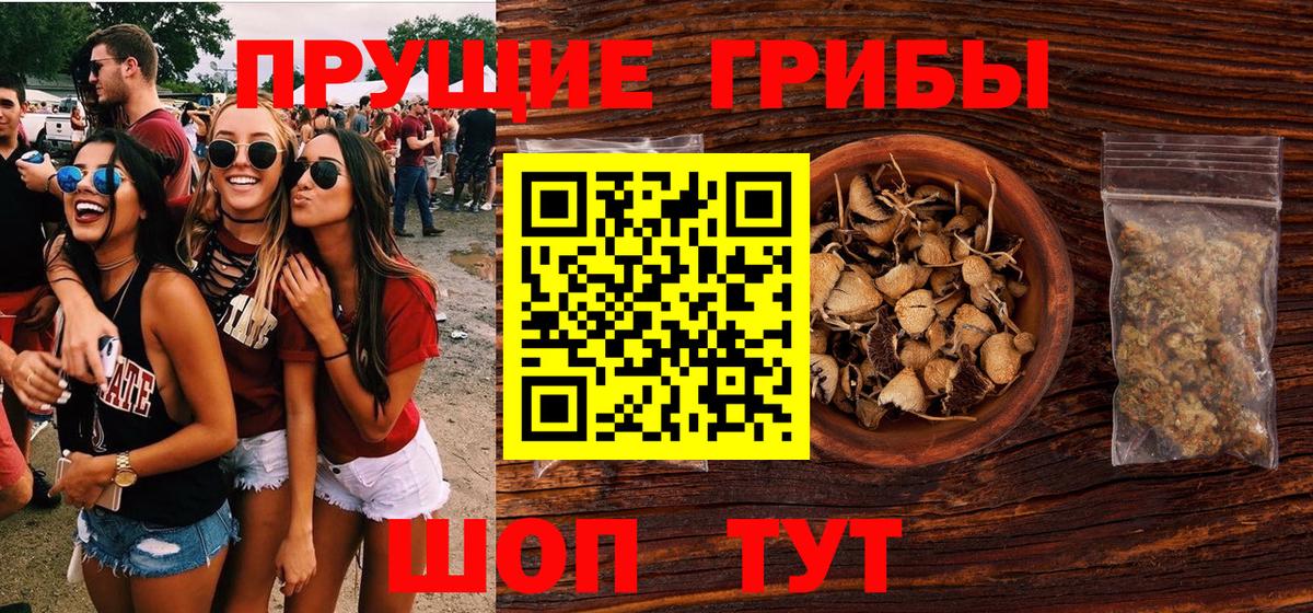Сальск  Псилоцибиновые грибы мухоморы  Вход с VPN 